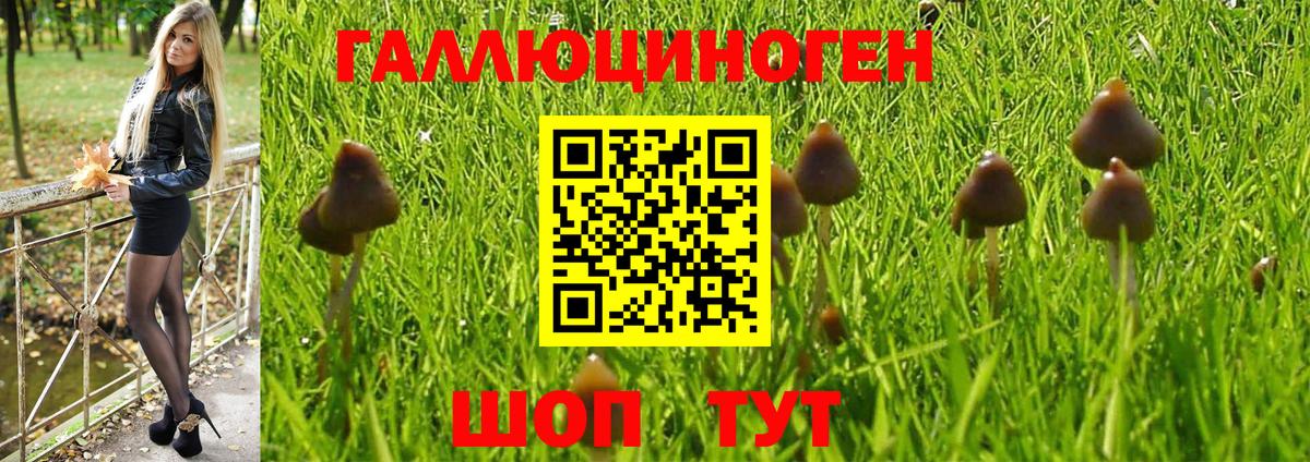 Гуково  Псилоцибиновые грибы Cubensis  Вход с VPN  Псилоцибиновые грибы Psilocybe 
