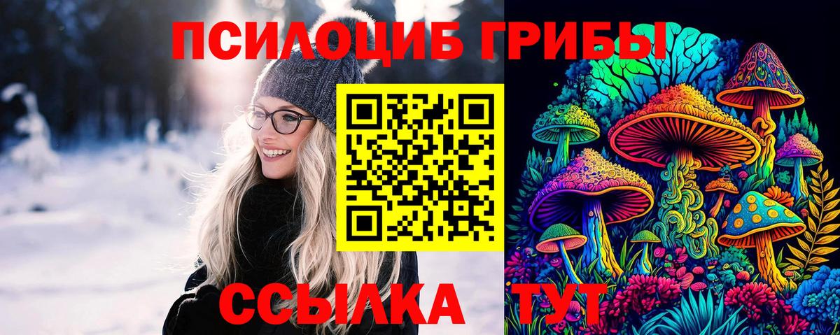 Псилоцибиновые грибы мухоморы Гуково